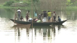 কুমিল্লায় জলাবদ্ধ জমিতে লাখো মানুষের ভাগ্যবদল