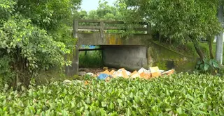 কুমিল্লায় অবৈধ দখলের মুখে খাল, হুমকিতে কৃষি ও জীববৈচিত্র্য