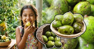আমড়ার জাদুকরী স্বাস্থ্য উপকারিতা; কেন খাবেন এ ফল, জানুন পুষ্টিগুণ