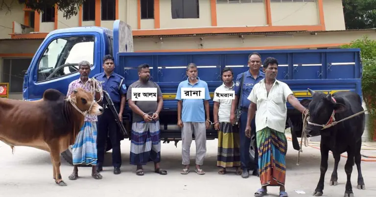 গরু ডাকাতি মামলায় রিমান্ড মঞ্জুর হওয়া ব্যক্তিরা