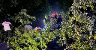 সড়কে গাছ ফেলে ডাকাতির চেষ্টা; চার গাড়িতে ভাঙচুর-লুটপাট