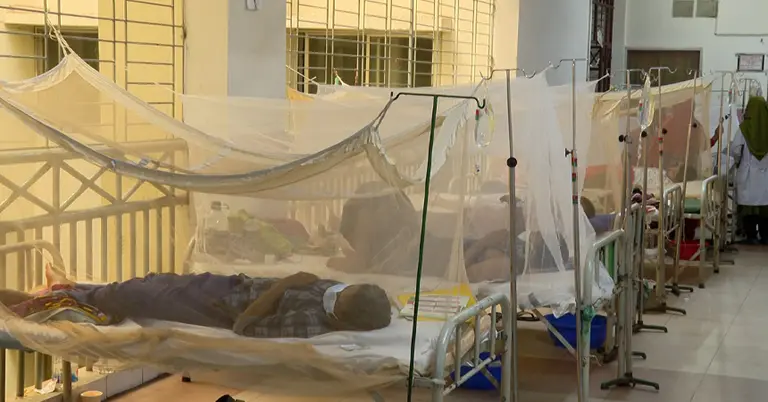 ডেঙ্গু আক্রান্ত রোগী