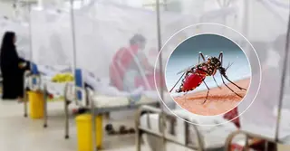 ডেঙ্গুতে একদিনে আরও ২ মৃত্যু, হাসপাতালে ভর্তি ৬১০