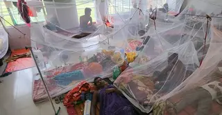 বৃষ্টির সঙ্গে বেড়েছে ডেঙ্গুর প্রকোপ; জলবায়ু পরিবর্তনের প্রেক্ষাপটে কার্যকর উদ্যোগ জরুরি
