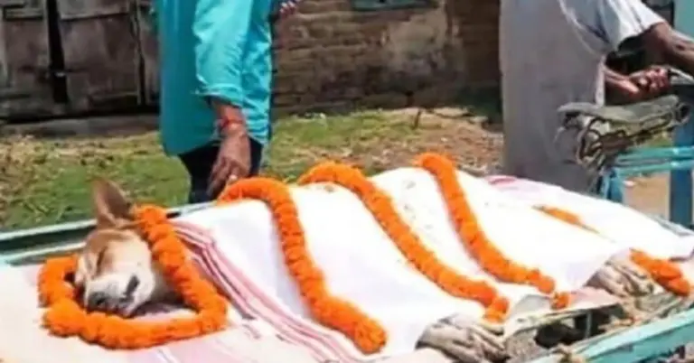 কালির শেষকৃত্য