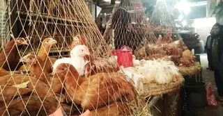 চট্টগ্রামের বাজারে চাহিদা বাড়ার সঙ্গে সঙ্গে বেড়েছে হাঁস মুরগির দামও