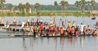 বৈঠার ছন্দে মুখর সালথার আষাঢ়ের বিল