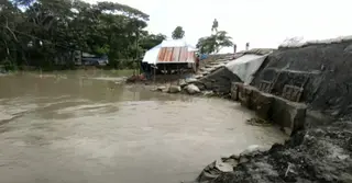ফরিদপুরে বাড়ছে নদীর পানি: বিপাকে কৃষক, দেখা দিয়েছে ভাঙন