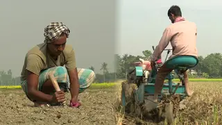 শর্তের বেড়াজালে ব্যাংকঋণ থেকে বঞ্চিত কৃষক