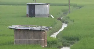 ডিজেলের দাম বাড়ায় দুশ্চিন্তায় কৃষক, বোরো চাষে লোকসানের শঙ্কা