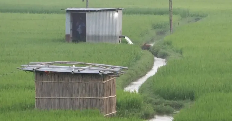 সেচ দেয়া হচ্ছে জমিতে