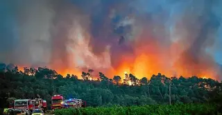দাবানলে হুমকিতে ‘ট্যুর ডি ফ্রান্সের’ তৃতীয় পর্ব