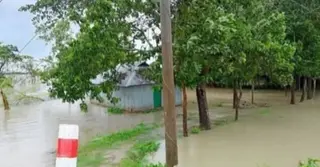নিম্নচাপের প্রভাবে সোনাগাজীর চার ইউনিয়ন প্লাবিত