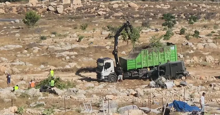 জলপাই গাছ গুঁড়িয়ে দিয়েছে ইসরাইল