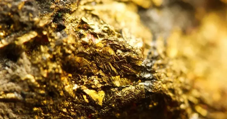 প্রতীকী ছবি