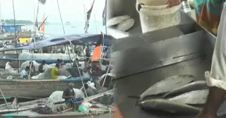 ভোলার নদীতে ইলিশের সংকট, সরবরাহের তুলনায় চাহিদা অনেক বেশি