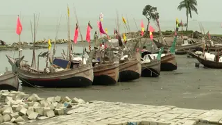 শেষ হচ্ছে ২২ দিনের নিষেধাজ্ঞা, রাত থেকে ইলিশ ধরা শুরু