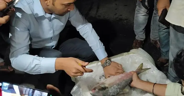 দুর্গাপূজায় ইলিশের প্রথম চালান গেলো ভারতে