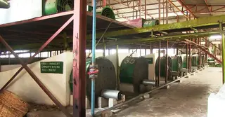 লোডশেডিংয়ের কবলে চা কারখানা: উৎপাদন খরচ বাড়লেও কমছে গুণগত মান