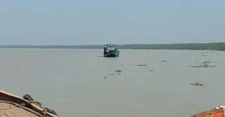 সময়সীমা শেষ হওয়ার আগেই নির্বিচারে মা ইলিশ শিকারে বরগুনার জেলেরা