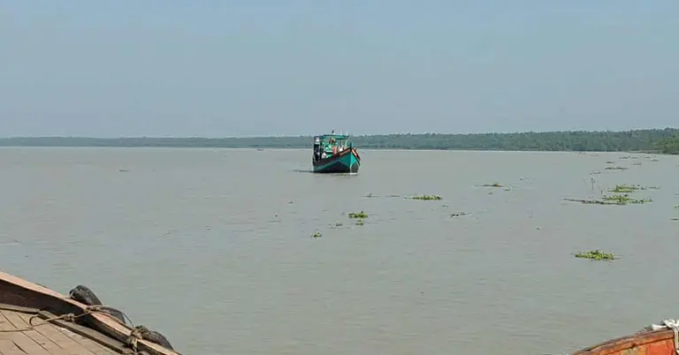 নদীতে  ইলিশ শিকারের জেলেরা