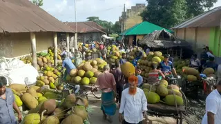 যশোরে প্রায় দেড় কোটি টাকার কাঁঠালের বাজার