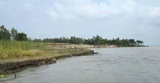যমুনার ভাঙন আতঙ্ক: বিলীন ফসলি জমি, হুমকির মুখে বিদ্যুৎ সাব-স্টেশন ও শিক্ষাপ্রতিষ্ঠান