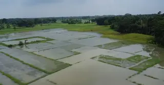 ঝিকরগাছায় অকার্যকর পানি নিষ্কাশন ব্যবস্থা; বিপাকে দশ গ্রামের কৃষক