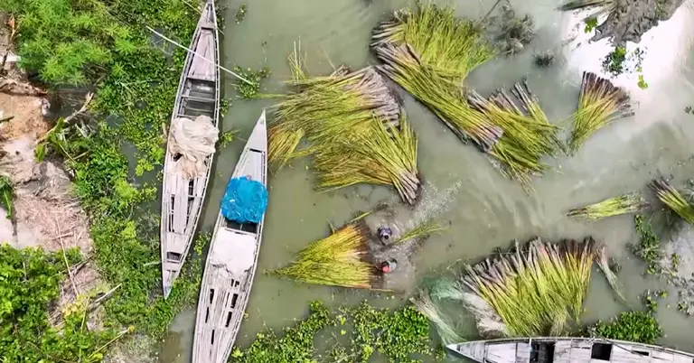 পাট জাগ দেয়া হয়েছে