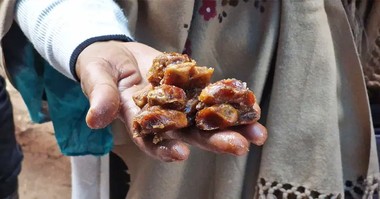 মজুত করা খেজুর