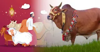 কত টাকা বা সম্পদ থাকলে কোরবানি দেওয়া আবশ্যক? জানুন শরীয়তের বিধান