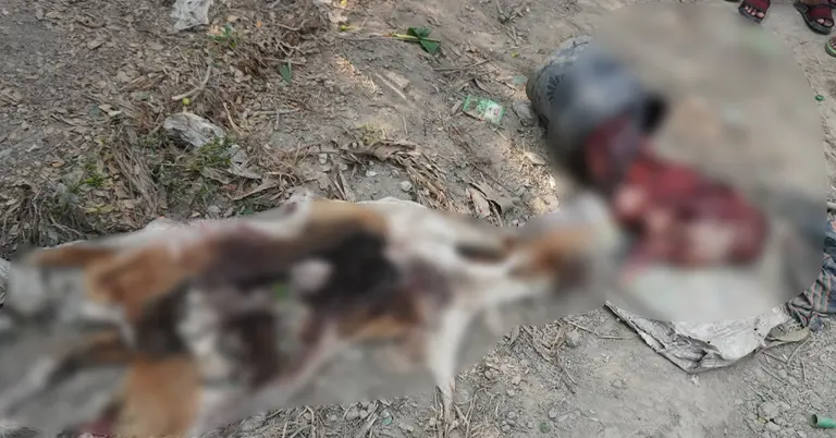 কুকুর জবাই করা হয়েছে