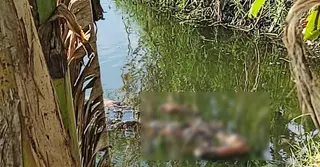 কুষ্টিয়ায় নদীতে গোসলে নেমে নিখোঁজ নারীর মরদেহ উদ্ধার