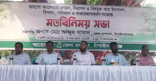 চাঁপাইনবাবগঞ্জে থাকছে না আমের ক্যালেন্ডার, পরিপক্ক হলেই পাড়া যাবে আম