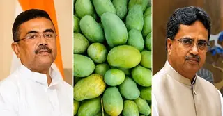 পশ্চিমবঙ্গ ও ত্রিপুরার মুখ্যমন্ত্রীর জন্য ১১০০ কেজি আম পাঠিয়েছে বাংলাদেশ