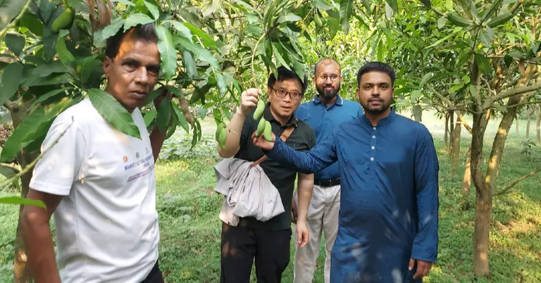 চাঁপাইনবাবগঞ্জের ১২০ হাজার টন আম কিনতে আগ্রহী চীন