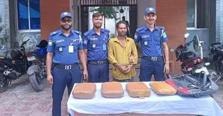 মানিকগঞ্জে ১০ কেজি গাঁজাসহ কারবারি গ্রেপ্তার