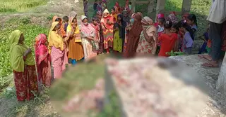 সড়কের পাশে ৮৪ প্যাকেট মাংস, এক নজর দেখতে স্থানীয়দের ভিড়