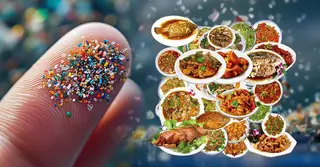 রান্নার পরও কি খাবারে থাকে মাইক্রোপ্লাস্টিক? বিজ্ঞান ও গবেষকরা যা বলছেন