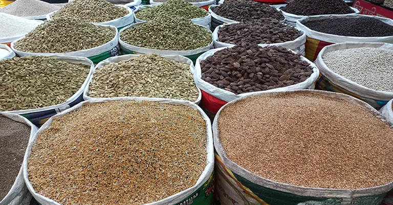 বিভিন্ন ধরনের মসলা