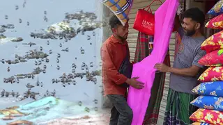 দিনেও মশার উৎপাতে ঘরে থাকা কঠিন