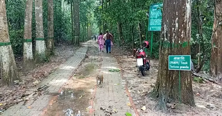 লাউয়াছড়া উদ্যান