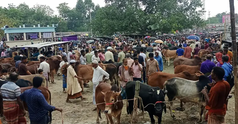 ময়মনসিংহের গরুর হাট