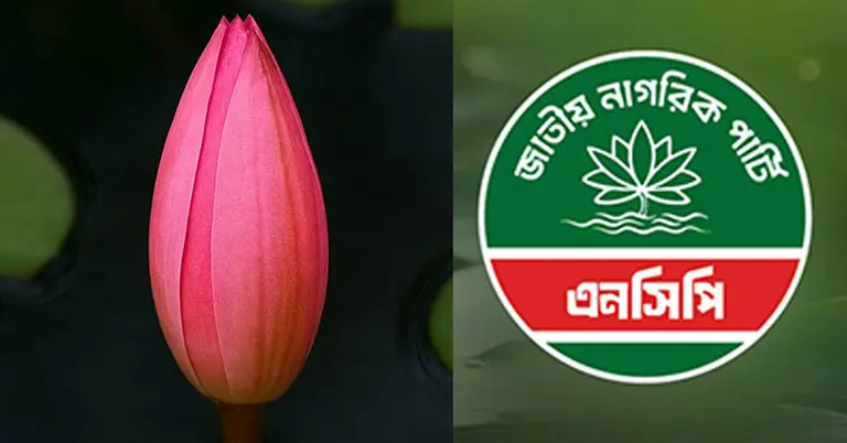 এনসিপির লোগো ও শাপলার কলি