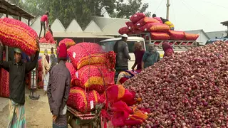 শরীয়তপুরের চাষীবাজারে জমজমাট পেঁয়াজ বেচাকেনা