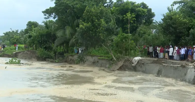 শরীয়তপুরে পদ্মা-মেঘনার ভাঙন