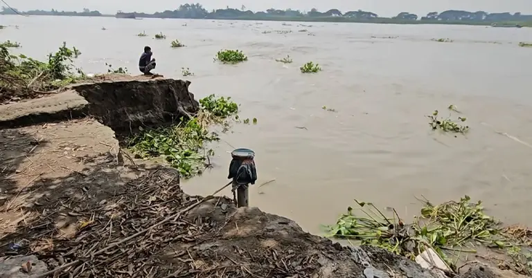 পদ্মার ভাঙনের চিত্র