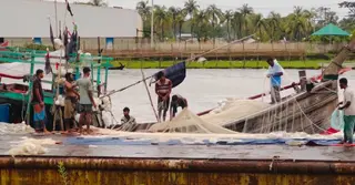 ৫৮ দিনের নিষেধাজ্ঞা শেষ: সাগরে নামছেন জেলেরা, তবে ইলিশ নিয়ে দুশ্চিন্তা