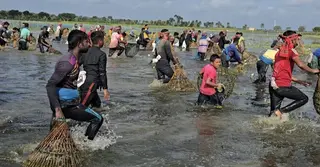 সাতক্ষীরার কলারোয়ায় ঐতিহ্যবাহী পলো বাওয়া উৎসব