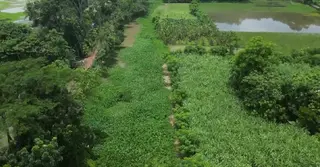 দখল-দূষণে অস্তিত্ব সংকটে পটুয়াখালীর মুরাদিয়া নদী
